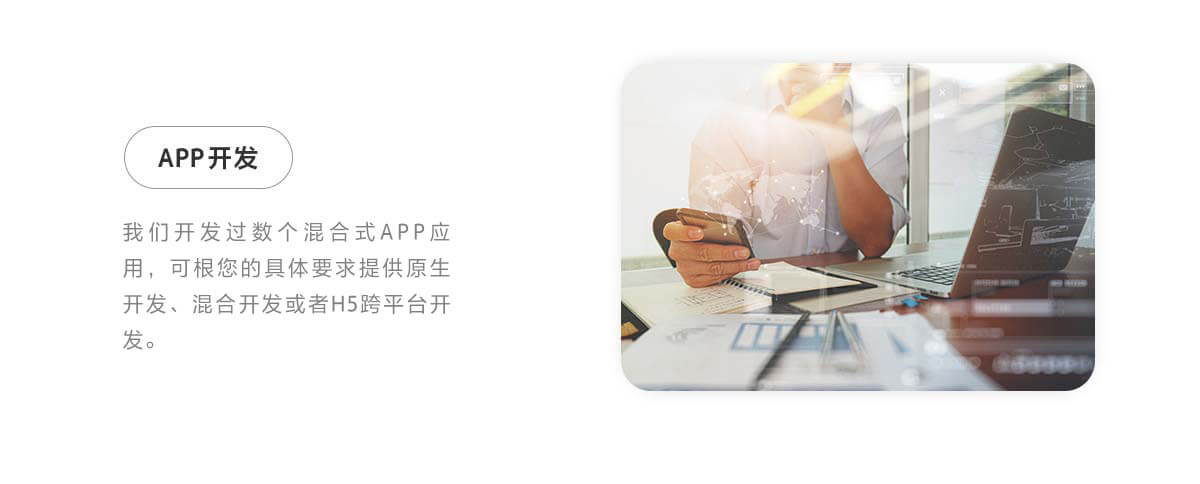 APP开发